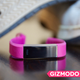 All Images: Alex Cranz/Gizmodo